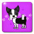 3dRose lsp_12086_2 Cute Boston Terrier Purple Paw Print Background Double Toggle Switch