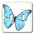 3dRose lsp_37350_2 Turquoise Large Butterfly Double Toggle Switch, Not Not applicble