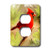 3dRose lsp_4442_6 Red Cardinal 2 Plug Outlet Cover