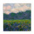 Trademark Fine Art Field of Yellow Irises by Claude Monet, White Metal Art 16x16, Multi-Color