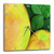 3dRose DPP_15564_1 Wall Clock, Yellow Fruit, 10 by 10-Inch