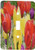3dRose lsp_5985_1"Red, Yellow and Purple Tulips" Single Toggle Switch Multicolor
