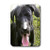 3dRose lsp_48741_1"Black Labrador Puppy - Single" Toggle Switch