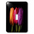 3dRose lsp_55226_1 Orange Red N Purple Dew Covered Tulips Toggle switch