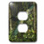 3dRose lsp_60743_6 Patagonian Conure  2 Plug Outlet Cover