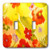3dRose lsp_80534_2 Red Yellow n Orange Floral Party Double Toggle Switch Multicolor