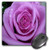 3dRose LLC 8 x 8 x 0.25 Inches Mouse Pad, Purple Rose (mp_1264_1)