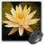 3dRose LLC 8 x 8 x 0.25 Inches Mouse Pad, Yellow Lotus Flower (mp_13905_1)