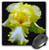 3dRose LLC 8 x 8 x 0.25 Inches Yellow Iris Mouse Pad (mp_17243_1)