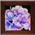 3dRose ft_28337_1 Purple Hydrangea Framed Tile, 8 by 8-Inch