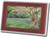 InsigniaTM 7" Widescreen LCD Digital Photo Frame