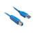 QualConnectTM USB 3.0 Printer / Device Cable, Blue, Type A Male to Type B Male, 10 ft