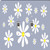 Rikki Knight White Daisy Yellow Flowers on Grey Design Double Toggle Light Switch Plate