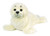 Webkinz Signature Harp Seal