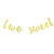 Two Sweet Glitter Banner Garland Sign 2nd Birthday Party Candy Bar Ice Cream Party Dessert Table Decorations Donut Birthday Banner