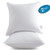 MoMA 20 x 20 Pillow Inserts (Set of 2) - Throw Pillow Inserts with 100% Cotton Cover - 20 Inch Square Interior Sofa Pillow Inserts - Decorative Pillow Insert Pair - White Couch Pillow