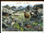 Alpine Tundra (Nature of America): Full Sheet of 10 x 41-Cent Postage Stamps, USA 2007, Scott 4198