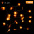 HIGHEVER Fall Decor, Thanksgiving Christmas Decorations Lighted Fall Garland, Maple Leaf String Lights,20LED 10 Feet Battery Powered Harvest Fall Garlands String Light, 2 Pack