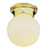 Trans Globe Lighting 3606 ROB Indoor Dash 6" Flushmount, Rubbed Oil Bronze