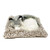 Perfect Petzzz Mini Baby Alaskan Husky Puppy Dog