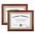 RPJC Document Frame Certificate Frames (2PK) Made of Solid Wood High Definition Glass and Display Certificates 8.5x11 Inch Standard Paper Frame Brown