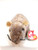 Ty Beanie Baby - Tiptoe