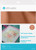 Silhouette America MEDIATRF-CPR Silhouette 8.5"X11" Foil Transfer Sheets 6/Pkg, Copper