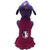 NCAA Florida State Seminoles Cheerleader Dog Dress