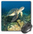 3dRose LLC 8 x 8 x 0.25 Inches Mouse Pad, Green Sea Turtle Makena Sp Maui Hawaii Stuart Westmorland (mp_89949_1)