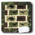 3dRose LLC 8 x 8 x 0.25 Inches Dinosaurs on Green and Brown Camouflage Mouse Pad (mp_60629_1)