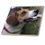 3dRose ct_20095_1 Beagle Ceramic Tile, 4"