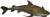 CollectA Sea Life Tiger Shark Toy Figure - Authentic Hand Painted Model