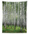 Lunarable Landscape Tapestry Twin Size, Autumn Trees in Birch Forest September Time View Landscape Picture, Wall Hanging Bedspread Bed Cover Wall Decor, 68" X 88", White Green and Black