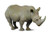 CollectA White Rhinoceros Figure