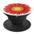 Sunflower red and yellow Sun Flower Girasol - PopSockets Grip and Stand for Phones and Tablets