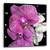 3dRose Purple Orchid Flowers - Wall Clock, 10 by 10-Inch (DPP_182169_1)