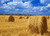Leowefowa 7X5FT Vinyl Photography Backdrop Farmland Wheat Field Straw Hay Bale Blue Sky White Cloud Forest Nature Autumn Harvest Background Kids Children Adults Photo Studio Props