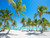 DZJYQ 6.5x5ft(2x1.5m) Gorgeous Tropical Summer Blue Sky Green Coconut Trees Whtie Ground Ocean Sea Holiday Tour Birthday Party Wedding Decoration Portrait Studio Backdrop Photography Background 377