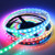 CHINLY 16.4ft WS2812B Individually Addressable LED Strip Light 5050 RGB SMD 300 Pixels Dream Color Waterproof IP67 Black PCB 5V DC (Black PCB 16.4ft 300leds waterproof)