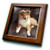 3dRose ft_4546_1 Rough Collie Puppy Framed Tile, 8 by 8-Inch