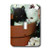 3dRose lsp_4414_1 Black And White Cats Single Toggle Switch
