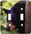 3dRose lsp_53627_2 Black Bear Looking Around A Tree Toggle switch
