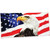 American eagle velour brazilian beach towel 30x60 inches