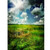 SLTY 5x7ft Green Grassland Nature Landscape Photography Backdrops Blue Sky Cloud Outdoor Party Travel Photo Background Studio Backdrop Props