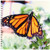 3dRose db_1106_2 Monarch Butterfly Memory Book, 12 by 12-Inch