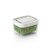 OXO GreenSaver Produce Keeper - Small -Green