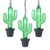 Kurt Adler Kurt S. Adler Battery-Operated 10 Cactus with Green LED Light Set, Black, Clear