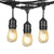 LEDERA Weatherproof LED String Lights, 48ft Indoor/Outdoor Lights, S14 LED Bulbs 2W, 15 Sockets, Commercial Hanging Lights for Patio, Garden, Backyard - Black