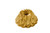 Nordic Ware 91777 Crown Bundt Pan, One Size, Gold
