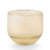 Illume, Candle Mojave Coconut Milk Mango Small